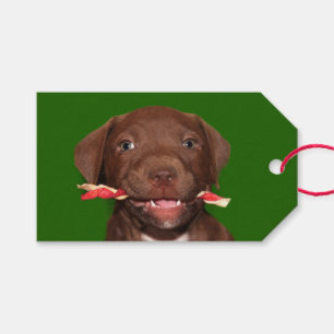 Cute puppy Christmas Gift Tags
