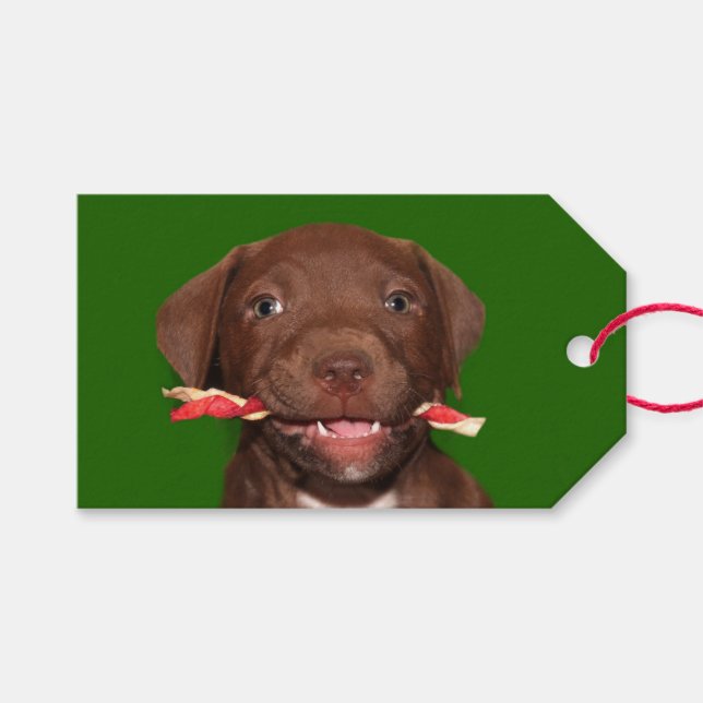 Cute puppy Christmas Gift Tags (Front (Horizontal))