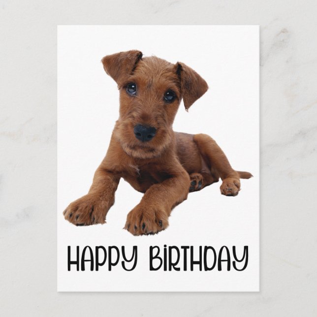 Cute Puppy Dog Airedale Terrier Birthday Postcard (Front)