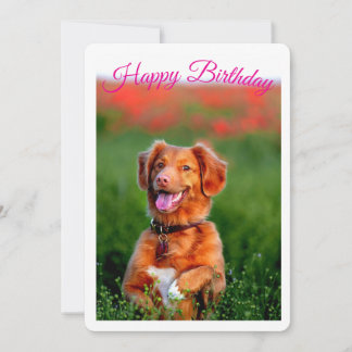 Cute Puppy Dog Birthday Party Invitation 
