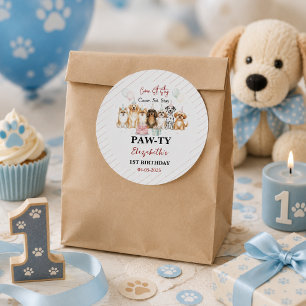 Cute Puppy Dog Boy 1st Birthday Pawty Time First Classic Round Sticker