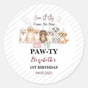 Cute Puppy Dog Boy 1st Birthday   Pawty Time First Classic Round Sticker