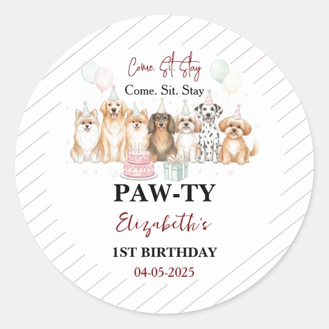 Cute Puppy Dog Boy 1st Birthday | Pawty Time First Classic Round Sticker (Front)