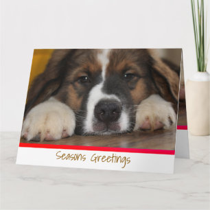 Cute Puppy Dog Card