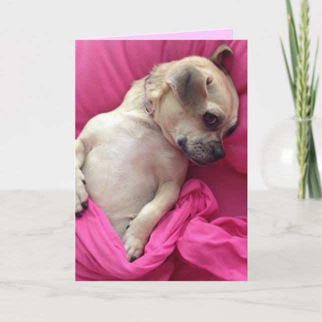 Cute Puppy Dog Chug in Pink Sheets Greeting Card (Front)