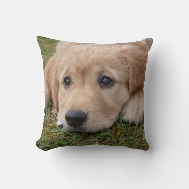Cute Puppy Dog Cushion (Front)