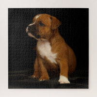 Cute Puppy Dog English Staffordshire Bull Terrier