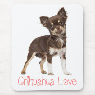 Cute Puppy Dog Gift Long Hair Funny Chihuahua Mouse Pad