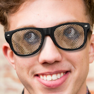 cute puppy dog golden retriever eyes retro sunglasses