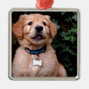 Cute puppy dog Golden Retriever Puppy Metal Tree Decoration