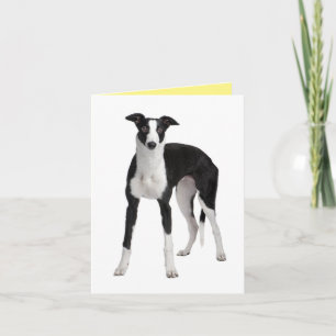 Cute Puppy Dog Greyhound Miss You Love Hello Card