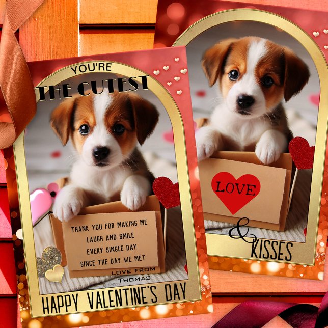 Cute Puppy Dog Happy Valentine's Day Card (A romantic and cute Valentine's Day card featuring a puppy dog delivered in a box)