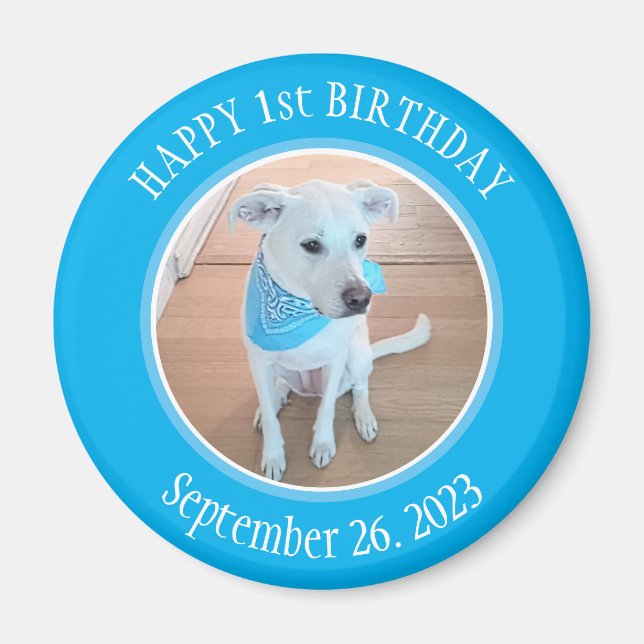 Cute Puppy Dog in Blue Scarf Happy 1st Birthday Magnet (Front)