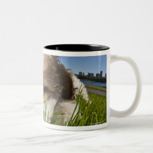Cute puppy dog in park, Vancouver, BC, Canada. Two-Tone Coffee Mug