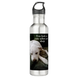Cute Puppy Dog Looks Pretty While Slumbering 710 Ml Water Bottle
