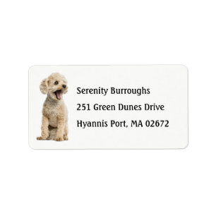 Cute Puppy Dog Lover Apricot Miniature Poodle Labe Label