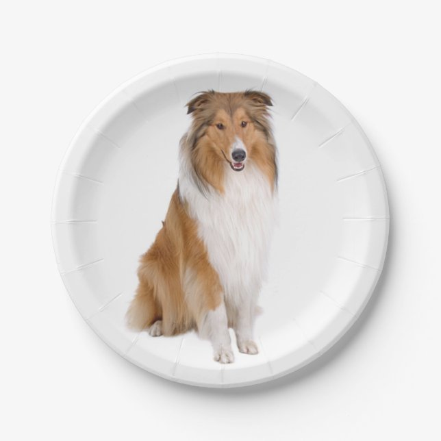 Cute Puppy Dog Lover Collie Paper Plate (Front)