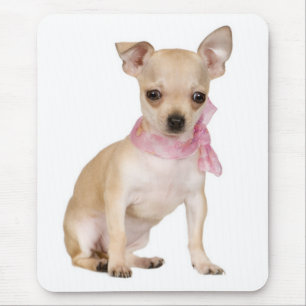 Cute Puppy Dog Lover Funny Chihuahua Mouse Pad
