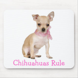 Cute Puppy Dog Lover Funny Chihuahua Mouse Pad
