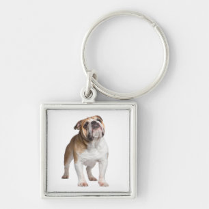 Cute Puppy Dog Lover Gift English Bulldog Key Ring