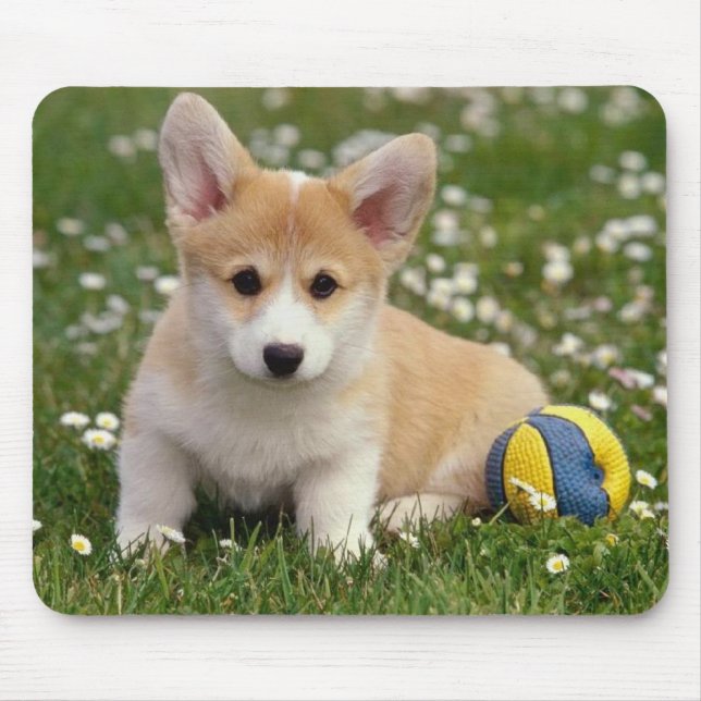 Cute Puppy Dog Lover Gift Pembroke Welsh Corgi Mouse Pad (Front)