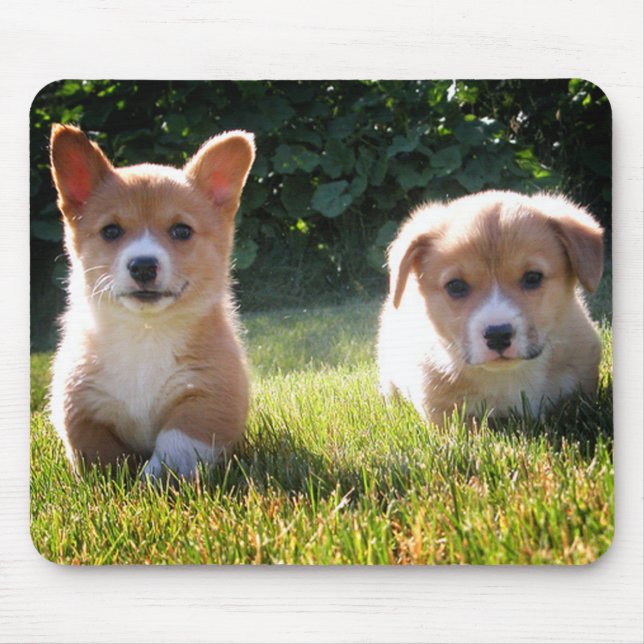 Cute Puppy Dog Lover Gift Pembroke Welsh Corgi Mouse Pad (Front)