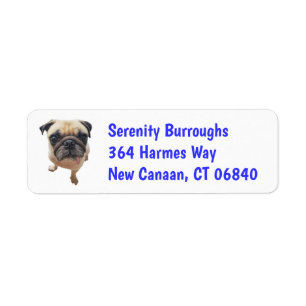 Cute Puppy Dog Lover Rescue Mum Funny Pug