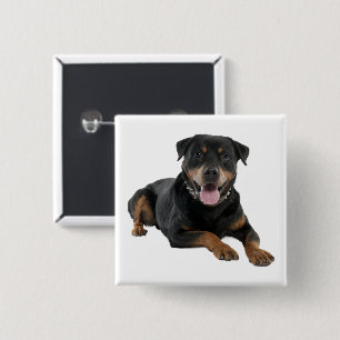 Cute Puppy Dog Lover Rottweiler 15 Cm Square Badge