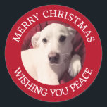 Cute Puppy Dog Merry Christmas Peace Red Classic Round Sticker<br><div class="desc">This adorable sticker features a photo of Olive,  a cute Labrador mix and customisable greeting.</div>