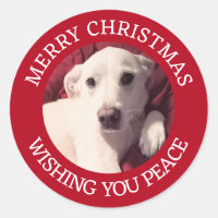 Cute Puppy Dog Merry Christmas Peace Red