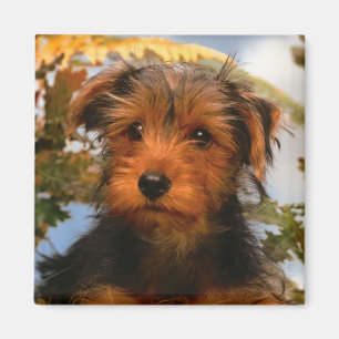 Cute Puppy Dog Mum Dog Lover Airedale Terrier Magnet