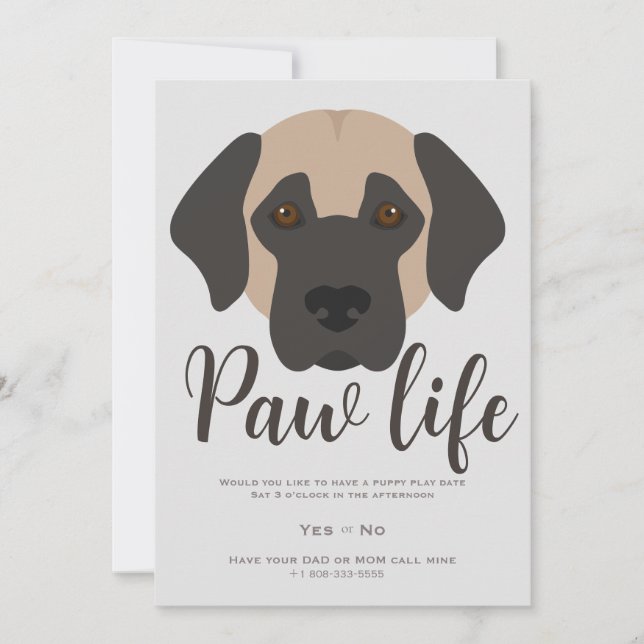 Cute puppy dog paw life party  invitation (Front)
