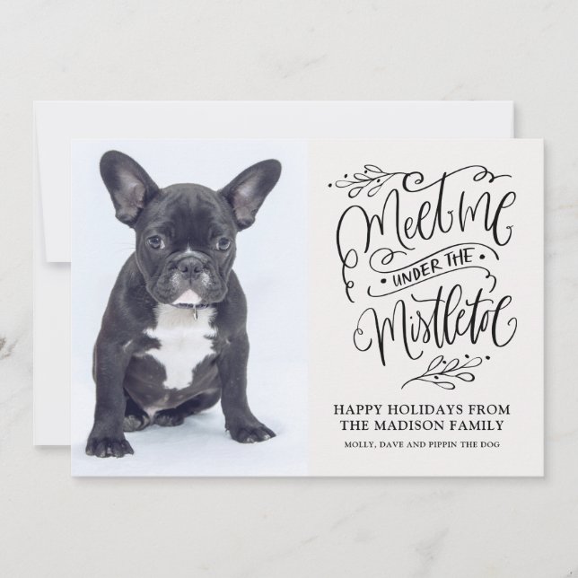 Cute Puppy Dog Photo Christmas Quote Mistletoe Holiday Card (Front)