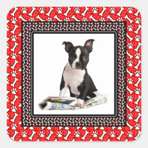 Cute Puppy Dog Photo Paw and Bone Template Square Sticker
