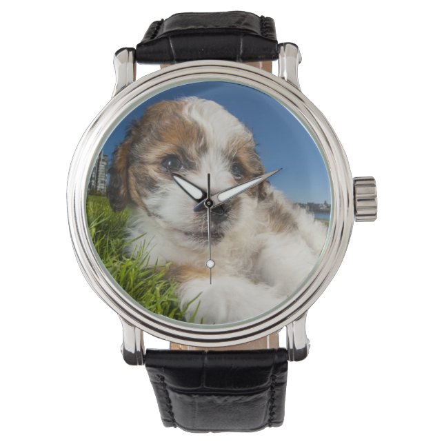Cute puppy dog (Shitzu) Watch (Front)