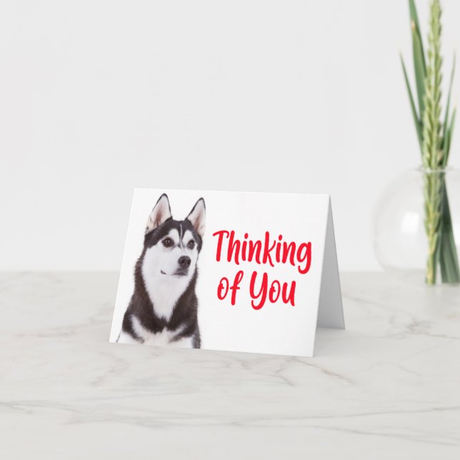  Cute Puppy Dog Siberian Husky Thinking of You Card (Front)