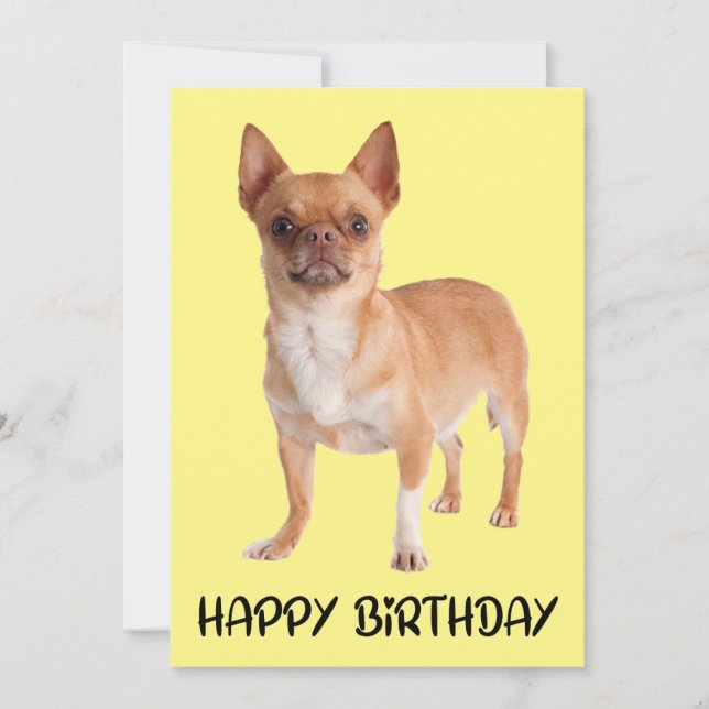 Cute Puppy Dog Yellow Funny Chihuahua Birthday Card (Front)
