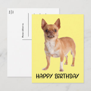 Cute Puppy Dog Yellow Funny Chihuahua Birthday Postcard
