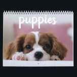 Cute Puppy Dogs Calendar<br><div class="desc">Cute puppy dogs not just to brighten your day, but for your whole year. Pin this calendar in your office, dorm, home, kitchen, anywhere that will make you smile.</div>