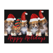 Cute Puppy Dogs Happy Holidays Christmas