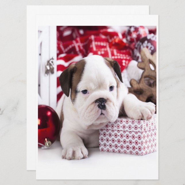 Cute Puppy English Bulldog | Funny Christmas (Front/Back)