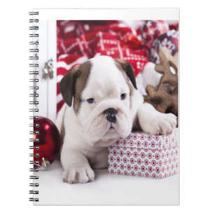 Cute Puppy English Bulldog   Funny Christmas Notebook