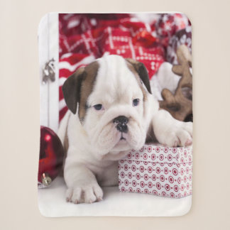 Cute Puppy English Bulldog | Funny Christmas Sherpa Blanket