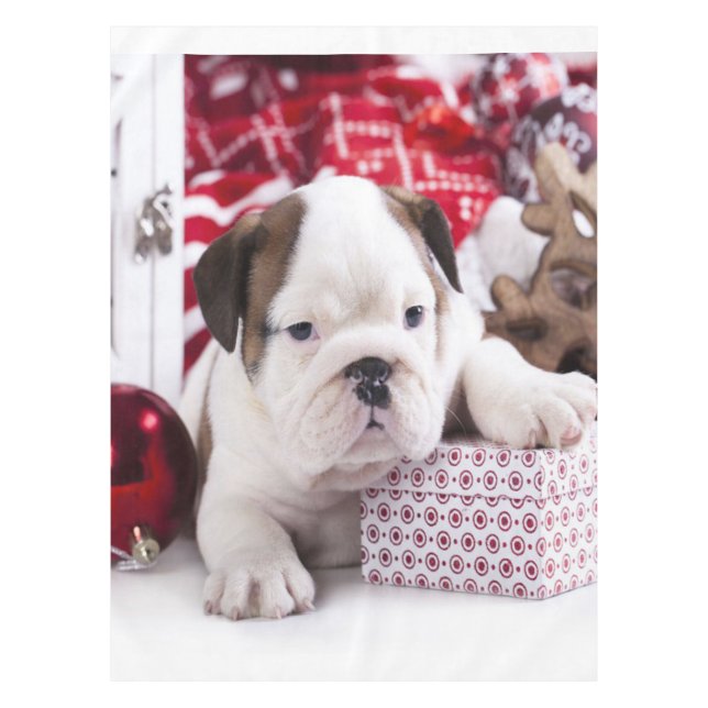 Cute Puppy English Bulldog | Funny Christmas Tablecloth (Front)