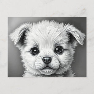 Cute Puppy Face Black and White Illustration  Postcard