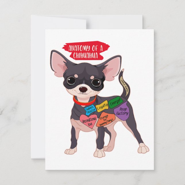 Cute Puppy Gift Anatomy Of A Chihuahua  Thank You Card (Front)