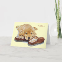 cute puppy golden retriever dog cuddling slippers