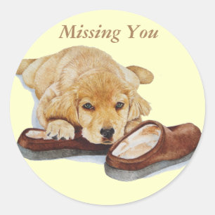 cute puppy golden retriever dog cuddling slippers classic round sticker