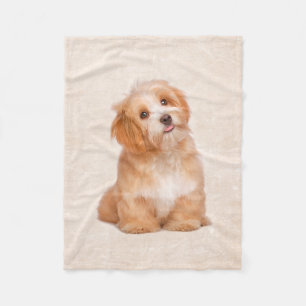 Cute Puppy Havanese Puppy Fleece Blanket