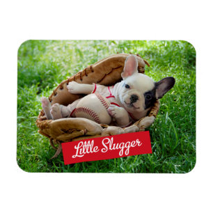 Cute Puppy in a Baseball Mitt Magnet